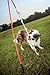 Outdoor Dog Toy - Tether Tug For Power Breeds or Extra Large Pets Over 60 Pounds - Blue and Yellow