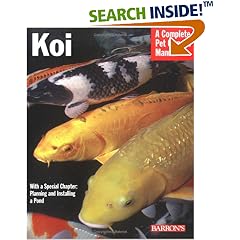 Koi (Complete Pet Owner's Manual) (Paperback)
