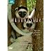 Madagascar [DVD]