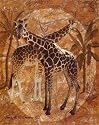 Jungle Giraffes Jonnie Chardon 8x10