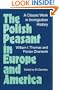 The Polish Peasant in Europe and America: A CLASSIC WORK IN IMMIGRATION HISTORY