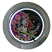 Don Ed Hardy 