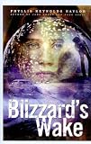 Blizzard's Wake