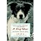 For the Dog Lover