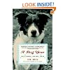 A Dog Year: Twelve Months, Four Dogs, and Me