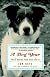 A Dog Year