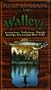 Flack Outdoors, Catch More Walleye - Instructions, Techniques, Secrets to Land More Fish! [VHS]