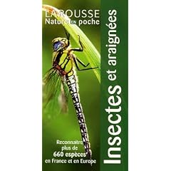 Insectes et araign�es