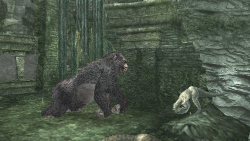 Childrens Toyshop  Video Games : Peter Jackson's King Kong: The Official Game (PSP)