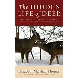 The Hidden Life of Deer: Lessons from the Natural World