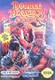 Double Dragon 3