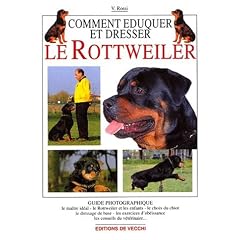 Comment �lever et dresser un rottweiler
