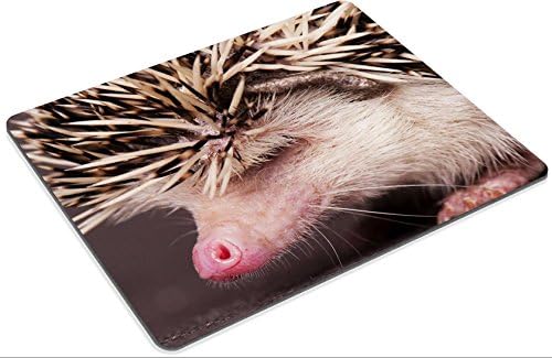 Mousepads hedgehog IMAGE 21489318 by MSD Mat Customized Desktop Laptop Gaming Mouse Pad