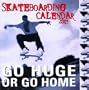 Skateboarding 2003 Calendar: Go Huge or Go Home
