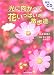 光に向かって花いっぱいの散歩道