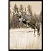 Upstream Images Whitetail Static Wall Graphic