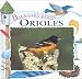 Book Orioles (Backyard Birds Series)