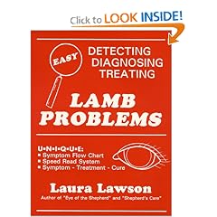 Lamb Problems: Detecting, Diagnosing, Treating