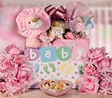 Baby Lion Gourmet Food Gift Basket