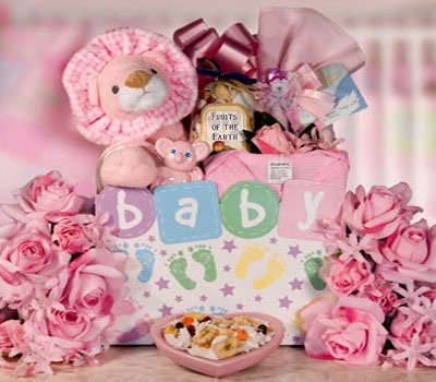 Baby Lion Gourmet Food Gift Basket