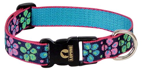 Flower Power - Lupine Adjustable Collars Large 1 in. x 12 in. - 20 in.