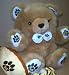 Missouri University College Mascot Football Bear