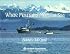 Where Mountains Meet the Sea (Alaska Geographic)