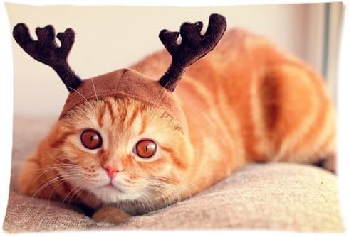 Buythecase Unique Fashion Pillowcase Design Reindeer Cat Size 20 X 30 inch custom pillow cases(two sides print The simulation of cloth)