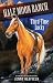 Third Time Lucky (Horses Of Half Moon Ranch)