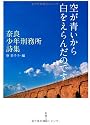 空が青いから白をえらんだのです ―奈良少年刑務所詩集― (新潮文庫)