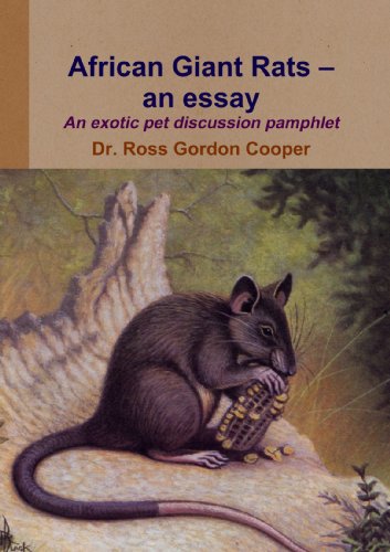 African Giant Rats - An Essay