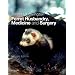 Ferret Husbandry, Medicine and Surgery
