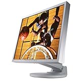 NANAO FlexScan 19型液晶モニターセレーングレイ S1931-SEGY