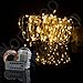 Homeleo 10 Meters 100 LEDs Battery Operated Christmas String Lights w/ Remote Wireless Dimmable LED Copper Wire String Lights Flexible Indoor Outdoor String Lights(Warm White,Waterproof)