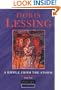 Ripple from the Storm (Flamingo Modern Classics)