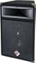 Nady PTS1015 2-Way Speaker Cabinet (500 Watts, 1x15 in.)