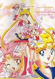 Sailor Moon Cloth Wall Scroll Poster X315