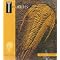 Book - paleontology: Trilobites
