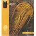 Book - paleontology: Trilobites