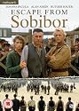 Escape From Sobibor [1987] [DVD]