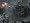 Company of Heroes: Opposing Fronts (PC DVD)