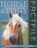 Horse & pony factfile