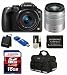 Panasonic DMC-G5KK 2 Lens Kit with 45-150mm (Silver) + 16GB + Bag + UV Filters