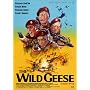 ���C���h��M�[�X [DVD]