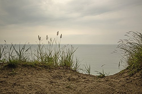 wandbilder selbstklebend