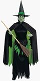 The Wizard of Oz Wicked Witch Adult Halloween Costume (8-14)