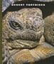 Desert Tortoises (World of Reptiles)