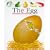The Egg (My First Discoveries Series)