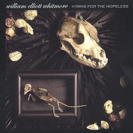 CD-Charts  Search : Hymns for the Hopeless [VINYL]