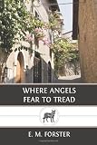 Where Angels Fear to Tread